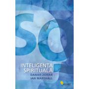 Inteligenta spirituala SQ