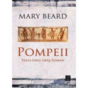 Pompeii. Viata unui oras roman