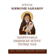 Suspinarea Duhului Sfant intru noi - Sfantul Sofronie Saharov