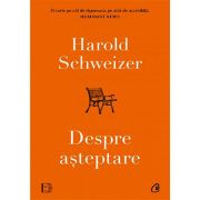 Despre așteptare - Harold Schweizer